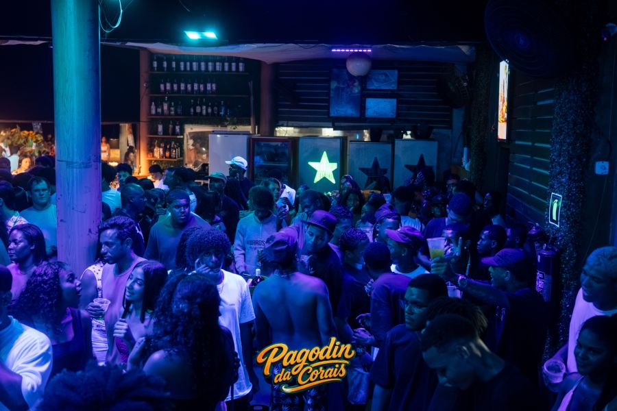 Pagodin White party - Foto 12
